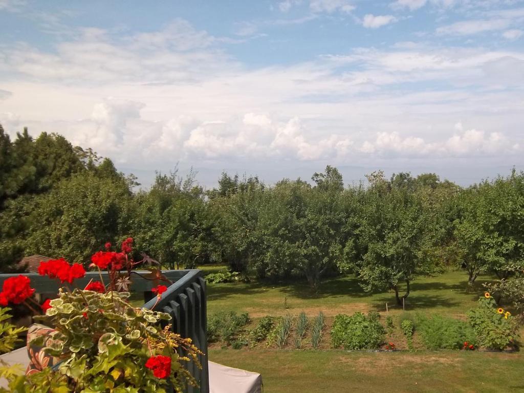 Gite La Halte Du Verger Bed And Breakfast Riviere-du-Loup Bagian luar foto